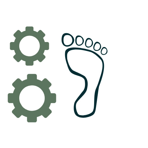 Vaistoa Barefoot Shoe